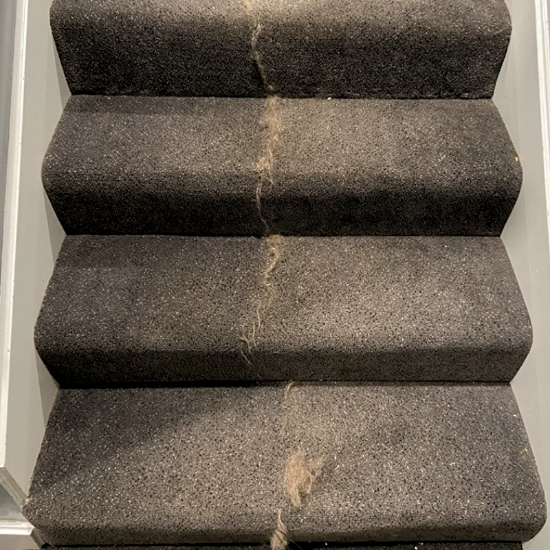 Éliminateur de poils d’animaux